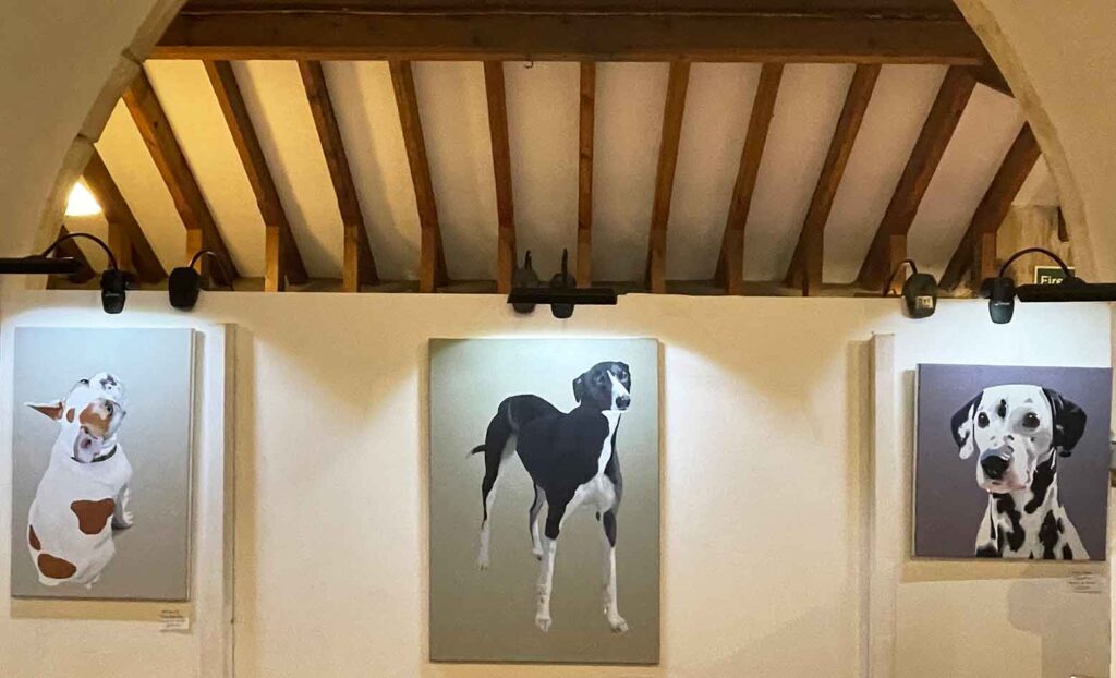 3 dog paintings